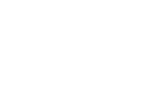 Fondazione Musica Insieme